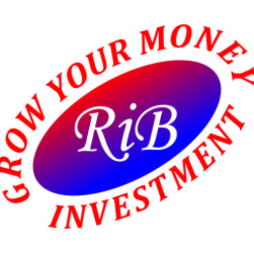 rib investment and  infra